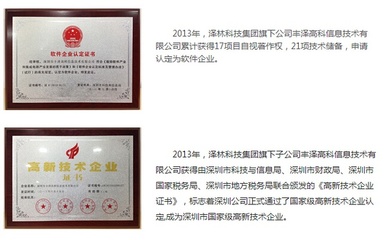 澤林信息科技集團簡介