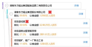 湖南東方錳業集團錳制品第二有限責任公司